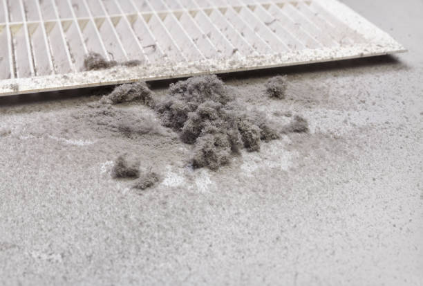 Best Ductwork Cleaning Services  in Cannon Falls, MN