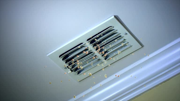 Best Air Duct Cleaning Cost  in Cannon Falls, MN