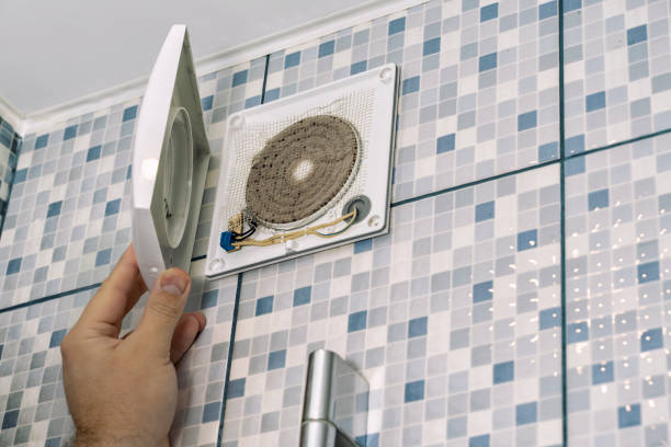 Best HVAC Duct Inspection Services  in Cannon Falls, MN