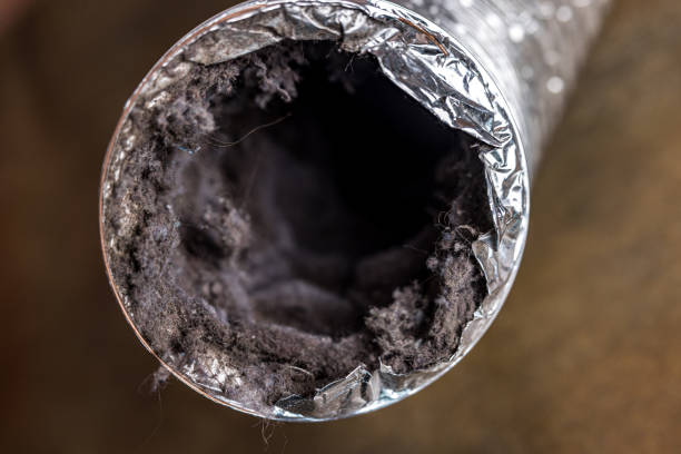 Best Air Duct Cleaning Near Me  in Cannon Falls, MN