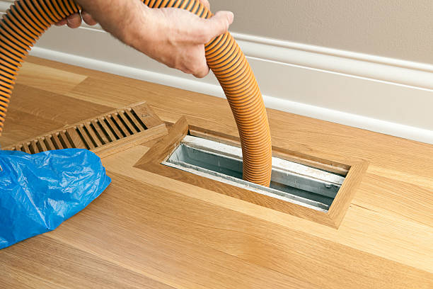 Best Home Air Vent Cleaning  in Cannon Falls, MN